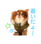 チョコちゃんスタンプ♡*(おでかけ編)（個別スタンプ：21）