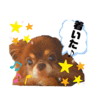 チョコちゃんスタンプ♡*(おでかけ編)（個別スタンプ：22）