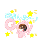 チョコちゃんスタンプ♡*(おでかけ編)（個別スタンプ：26）
