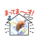 チョコちゃんスタンプ♡*(おでかけ編)（個別スタンプ：35）