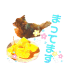 チョコちゃんスタンプ♡*(おでかけ編)（個別スタンプ：36）