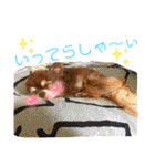チョコちゃんスタンプ♡*(おでかけ編)（個別スタンプ：38）