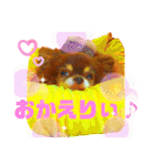 チョコちゃんスタンプ♡*(おでかけ編)（個別スタンプ：40）