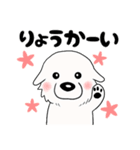 【家族連絡用】ピレネー犬8 (兵庫県)（個別スタンプ：7）