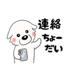 【家族連絡用】ピレネー犬8 (兵庫県)（個別スタンプ：14）