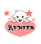 【家族連絡用】ピレネー犬8 (兵庫県)（個別スタンプ：24）