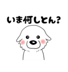 【家族連絡用】ピレネー犬8 (兵庫県)（個別スタンプ：26）