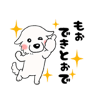 【家族連絡用】ピレネー犬8 (兵庫県)（個別スタンプ：27）