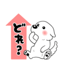 【家族連絡用】ピレネー犬8 (兵庫県)（個別スタンプ：33）