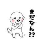 【家族連絡用】ピレネー犬8 (兵庫県)（個別スタンプ：37）