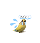 インコスタンプNo.2（個別スタンプ：2）