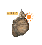 愉快な動物たちのスタンプその11（個別スタンプ：1）