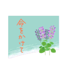 Botanical language（個別スタンプ：18）