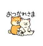 動く！柴犬むち（個別スタンプ：14）