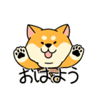 動く！柴犬むち（個別スタンプ：19）