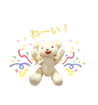 手縫いテディベア(2匹既製品)日常スタンプ（個別スタンプ：13）
