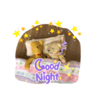 手縫いテディベア(2匹既製品)日常スタンプ（個別スタンプ：24）