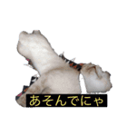 はやてもりもりスタンプ（個別スタンプ：6）