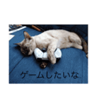 はやてもりもりスタンプ（個別スタンプ：13）