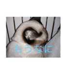 はやてもりもりスタンプ（個別スタンプ：15）