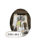 ホワイトシェパードの日常と敬語（個別スタンプ：35）