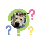 ホワイトシェパードの日常と敬語（個別スタンプ：38）