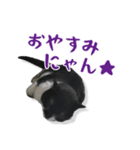 くろあめぽぽ（個別スタンプ：5）