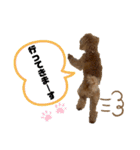 コタロースタンプ3パピー編（個別スタンプ：32）