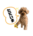 コタロースタンプ3パピー編（個別スタンプ：34）