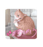 はルーキ（個別スタンプ：4）
