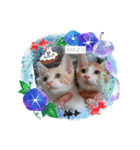 はルーキ（個別スタンプ：8）