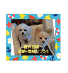 LUNA＆SEAです！！お部屋の整理+収納+掃除～（個別スタンプ：2）