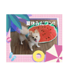 LUNA＆SEAです！！お部屋の整理+収納+掃除～（個別スタンプ：3）