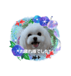LUNA＆SEAです！！お部屋の整理+収納+掃除～（個別スタンプ：5）