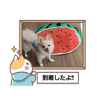LUNA＆SEAです！！お部屋の整理+収納+掃除～（個別スタンプ：6）