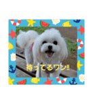 LUNA＆SEAです！！お部屋の整理+収納+掃除～（個別スタンプ：7）