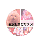 LUNA＆SEAです！！お部屋の整理+収納+掃除～（個別スタンプ：8）