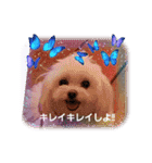 LUNA＆SEAです！！お部屋の整理+収納+掃除～（個別スタンプ：9）