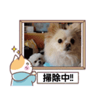 LUNA＆SEAです！！お部屋の整理+収納+掃除～（個別スタンプ：10）