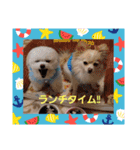 LUNA＆SEAです！！お部屋の整理+収納+掃除～（個別スタンプ：11）