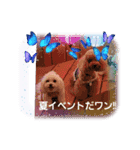 LUNA＆SEAです！！お部屋の整理+収納+掃除～（個別スタンプ：14）