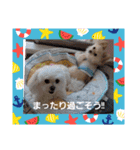 LUNA＆SEAです！！お部屋の整理+収納+掃除～（個別スタンプ：15）