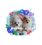 LUNA＆SEAです！！お部屋の整理+収納+掃除～（個別スタンプ：16）