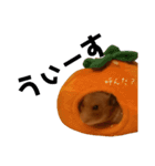 私、ハムスターのまめともうします。（個別スタンプ：8）