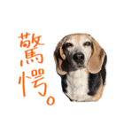まーたんスタンプ〜Fifth edition〜（個別スタンプ：1）