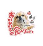 表情ゆたかなそらくんだよ★（個別スタンプ：4）