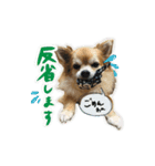 表情ゆたかなそらくんだよ★（個別スタンプ：7）