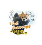 表情ゆたかなそらくんだよ★（個別スタンプ：10）