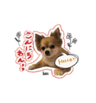 表情ゆたかなそらくんだよ★（個別スタンプ：11）