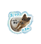 表情ゆたかなそらくんだよ★（個別スタンプ：12）